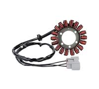 Motos Bobina del Estator Bobina De Estator De Encendido Magneto para Motocicletas para S1000RR para S1000R para M1000RR para M1000R 2022-2024 Bobina De Estator De Motor