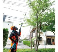 Podadora eléctrica de batería con pértiga telescópica Makita DUA301Z