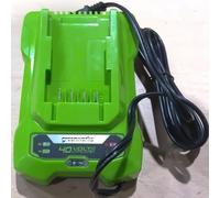 Motosierra eléctrica G40C de 40 V con batería de litio, cortacésped, cortasetos y podadora de ramas altas. Cargador de 2 A, 230 V. Compatible con Greenworks 40 V Herramienta eléctrica de jardín 29462