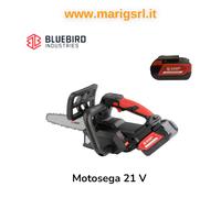 MOTOSIERRA ELECTROSERRA PODA A BATERÍA THC S 22-07 BLUE BIRD barra 20 cm