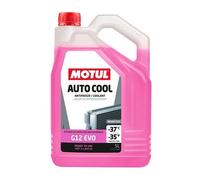 MOTUL 112648 Anticongelante 5L rosa