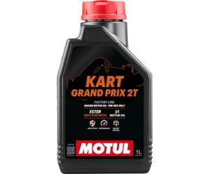 MOTUL Kart Grand Prix 1 litros