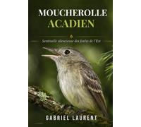 Moucherolle acadien: Sentinelle silencieuse des forêts de l'Est