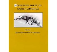 Mountain Sheep of North America