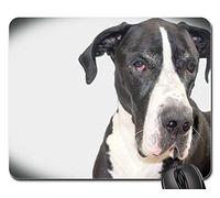 Mouse Mat, Perro Cara De Perro Gran Danés Manto Tapete De Juego Antideslizante Alfombrilla Ratón Antideslizante Alfombrilla Gaming para Oficina Oficina 25X30Cm