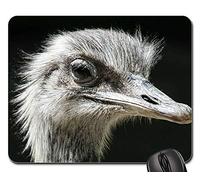 Mouse Mat, Strauss Zoo Bill Head Ave No Voladora Mousepad Antideslizante Gaming Mouse Pad Professional Alfombrilla Ratón para Ordenador Oficina 25X30Cm