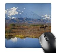 Mouse Pad Fauna del Alce Macho, Parque Nacional Denali Lavable Accesorios Ordenador Suave Protector Escritorio para Oficina Juegos Pc 25X30Cm