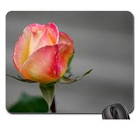 Mouse Pad, Flores Rosa Flores Romance Pétalos Amor Naturaleza Mouse Mat Antideslizante Mousepad Portátil Gaming Mouse Pad para Trabajo Pc 25X30Cm