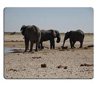 Mouse Pad Gaming Mouse Mouse Elefantes Bebiendo Ozonjutji m Bari Etosha Namibia Material de Caucho Natural PN00X9625