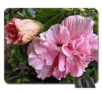 Mouse Pad, Ibisco Pétalos De Rosa Jardín Primavera Pétalos Flor Mousepad Antideslizante Alfombrilla De Ratón para Juegos Professional Gaming Mouse Pad para Oficina Jugadore 25X30Cm
