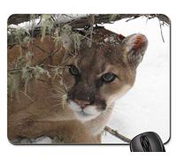 Mouse Pad, León De Montaña Puma Vida Silvestre Naturaleza Big Cat Alfombrilla De Ratón para Juegos Antideslizante Mouse Mat Antideslizante Mousepad para Jugadore Ratón 25X30Cm