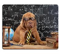 Mouse Pad, Lindo Perro Frente A La Pizarra Durante Una Clase De Matemáticas Alfombrilla Raton Portátil Gaming Mouse Pad Bordes Cosidos Alfombrilla Ratón para Oficina Ratón 25X30Cm