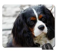 Mouse Pad, Perro Spaniel Cavalier King Charles Canino Sentado Alfombrilla De Ratón para Juegos Antideslizante Tapete De Juego Bordes Cosidos Mouse Mat para Ordenador Oficina 25X30Cm