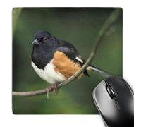 Mouse Pad Towhee De Costados Rufo Macho Na0Adam Jones Suave Alfombrilla Escritorio Impermeable Gaming Tapete para Ordenadores Oficina Escritorio 25X30Cm