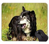 Mousepad Australiano del Perro de Pastor, Mousepad Antideslizante de la Base del Caucho del Perro