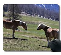 Mousepad de goma modificado para requisitos particulares El prado del caballo que pasta el caballo con la frontera cosida