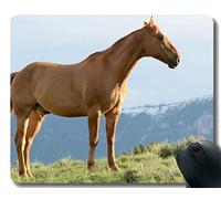 Mousepad de goma modificado para requisitos particulares, melena del caballo del campo de los deportes con la frontera cosida