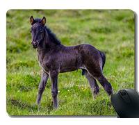 Mousepad de goma personalizado, paisaje del pony del ganado con la frontera cosida