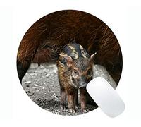 Mousepad divertido del diseño del cerdo, alfombrillas de raton redondas