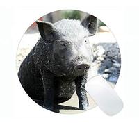 Mousepad Divertido del diseño del Cerdo, Alfombrillas de ratón Redondas Animales