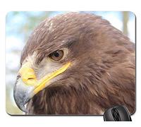 Mousepad, Estepa Águila Animal Ave Aquila Nipalensis Adler Gaming Mouse Pad Antideslizante Alfombrilla Ratón Antideslizante Alfombrilla De Ratón para Juegos para Oficina Trabajo 25X30Cm