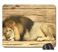 Mousepad, León Animal Salvaje África Leo Carnívoro Macho Tapete De Juego Antideslizante Alfombrilla De Ratón Professional Alfombrilla Ratón para Jugadore Laptop 25X30Cm