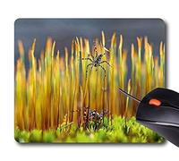 Mousepad Rectángulo Antideslizante Personalidad de Goma Diseños Animal: Spiders Minnesota Spring
