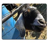 Mousepad Soy Material de Goma Natural Goatiful