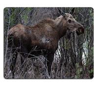 Mousepad Soy Material de Goma Natural Goatiful