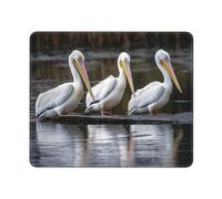 Mousepad Tres Pelícanos Moderno Alfombrilla Escritorio Impermeable Gaming Tapete para Oficina Gaming Accesorio 10X12In