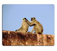 Mousepads Monkey involucrado en el acto de Recoger piojos del Cuerpo de su compañero por Tony Mat Customized Desktop Laptop Gaming Mouse Pad