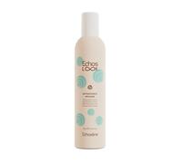 Mousse De Extra Fuerte ECHOSLINE Ecos Look 400ml
