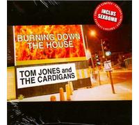 Mousse T - Burning Down the House. Ltd