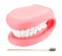 Mouth Hand Puppet - Realistic PVC Teeth Model, Movable Educational Brushing Tool, Interactive Pink Care Kit with 17cm Toothbrush - For Kids Children Schools Kindergarten