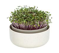 Moutta | Microgreens,Cuenco de Cultivo de plástico con Mezcla de posos de café, diseño germinador para brotes, 16 cm, Caja Germinal para el Cultivo de Semillas de Berro
