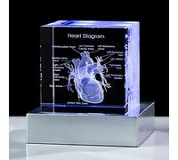 Movdyka Modelo de corazón Humano 3D, Regalos médicos para Hombres, Figura anatómica de Cristal Grabado con láser 3D, pisapapeles de Vidrio, Ciencia biología, Cirujano médico, Regalos con Base LED