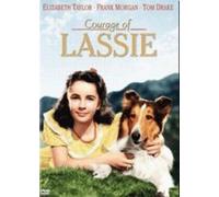 Movie DVD - Courage Of Lassie (Region code : all) (Korea Edition)