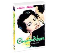 Movie DVD - The Black Orchid (Region code : all) (Korea Edition)