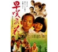 Movie/Film [Japanese] - Hayazaki No Hana [06/J] [Alemania] [DVD]