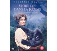 Movie - Gorillas Dans La Brume