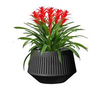 Moxeupon Macetas para Orquídeas - Contenedor De Cultivo para Orquídeas,De Doble Capa Transpirable con Control De Raíces para Hidroponía, Riego, Humedad, Musgo Sphagnum Y Violeta