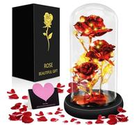 MOYKSRR Rosa Eterna, Rosa Bella y Bestia con Luces LED, Rosa Eterna Flower Natural Preservada, Decoración del Hogar, Regalo Sorpresa para el día de San Valentín, día de la Madre, Aniversario