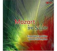 Mozart in the Salon - Mozart in the Salon