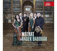Baborak Ensemble, Radek Baborak, Radovan Valtkovic - Mozart: Sinfonia Concertante/ Radek Baborak
