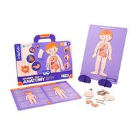mPad-Anatomia