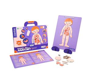 mPad-Anatomia