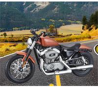MPODYTSF Modelo a Escala Simulación De Motocicleta 1:18, Regalo Colección, Exhibición Valor para Harley para Davidson XL 1200N 2007