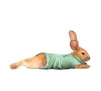 MPS Medical Pet Shirt, Conejo, Verde, XS