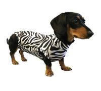 MPS Medical Pet Shirt, Perro, Estampado de Cebra, XXXXS
