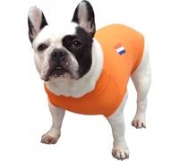 MPS Medical Pet Shirt, Perro, Naranja, S+